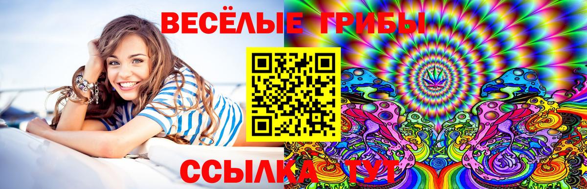 Псилоцибиновые грибы Psilocybe  Галлюциногенные грибы GOLDEN TEACHER  Котовск  Вход с VPN 