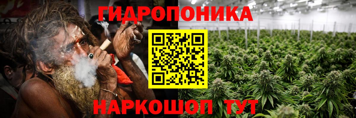 Котовск  Канабис планчик  Вход с VPN  Каннабис MAZAR  Бошки Шишки MAZAR  Бошки Шишки тримм 